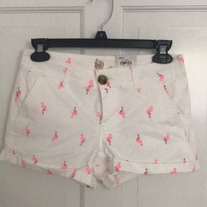Adorable flamingo print shorts